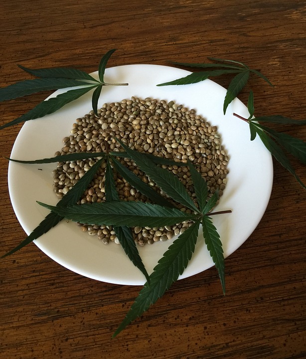 cannabis-seeds-1418321_960_720